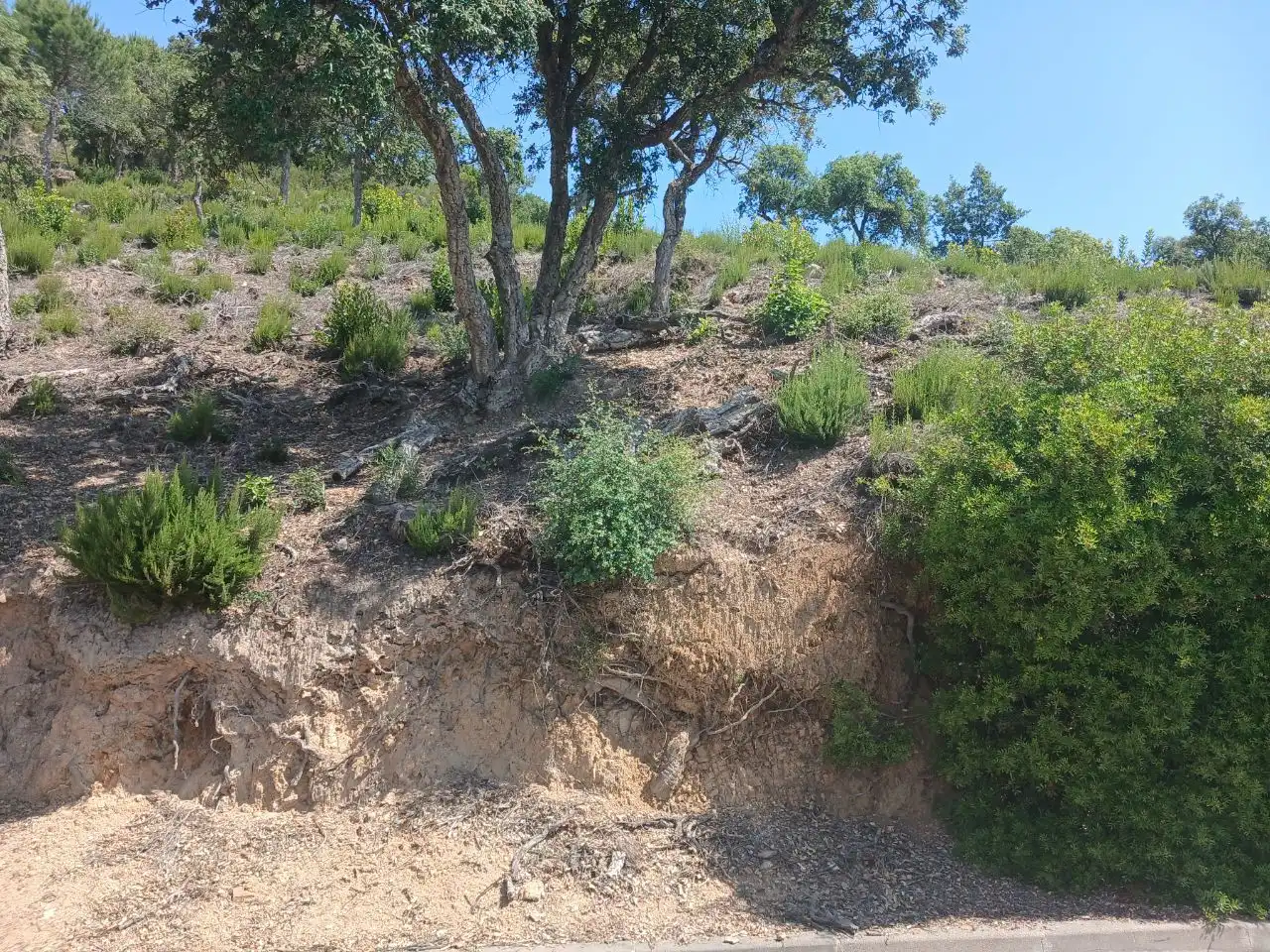 Wohnbaugrundstück zum Verkauf in Lloret Verd - Els Pinars, imagen 7