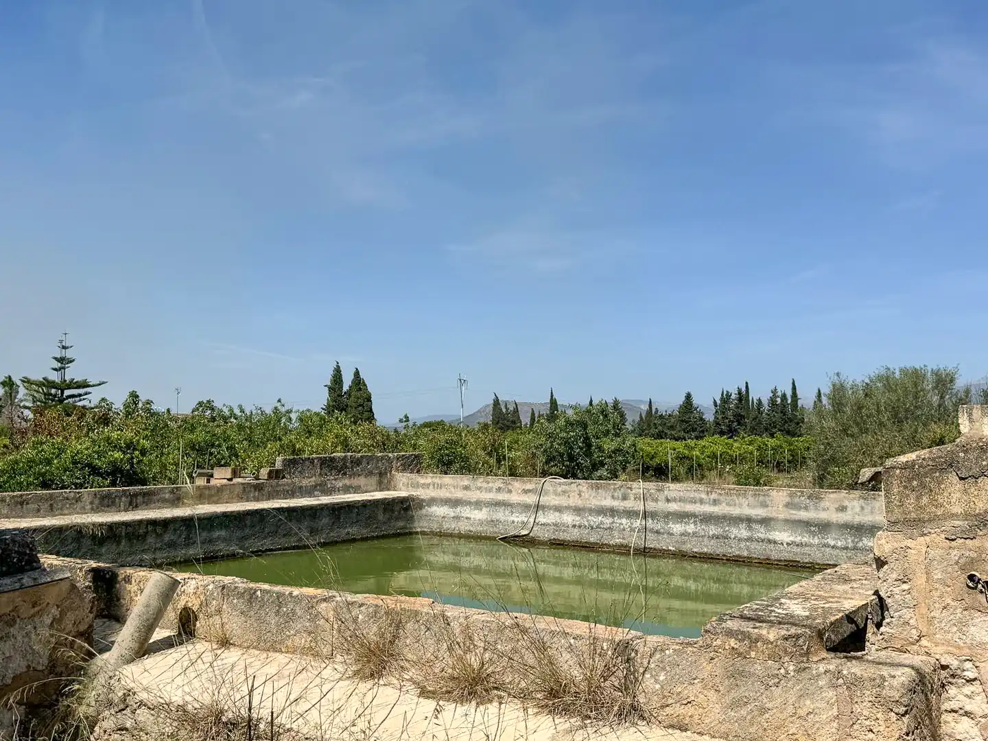Piscina de Finca rústica en venda en Llubí amb Jardí privat i Terrassa
