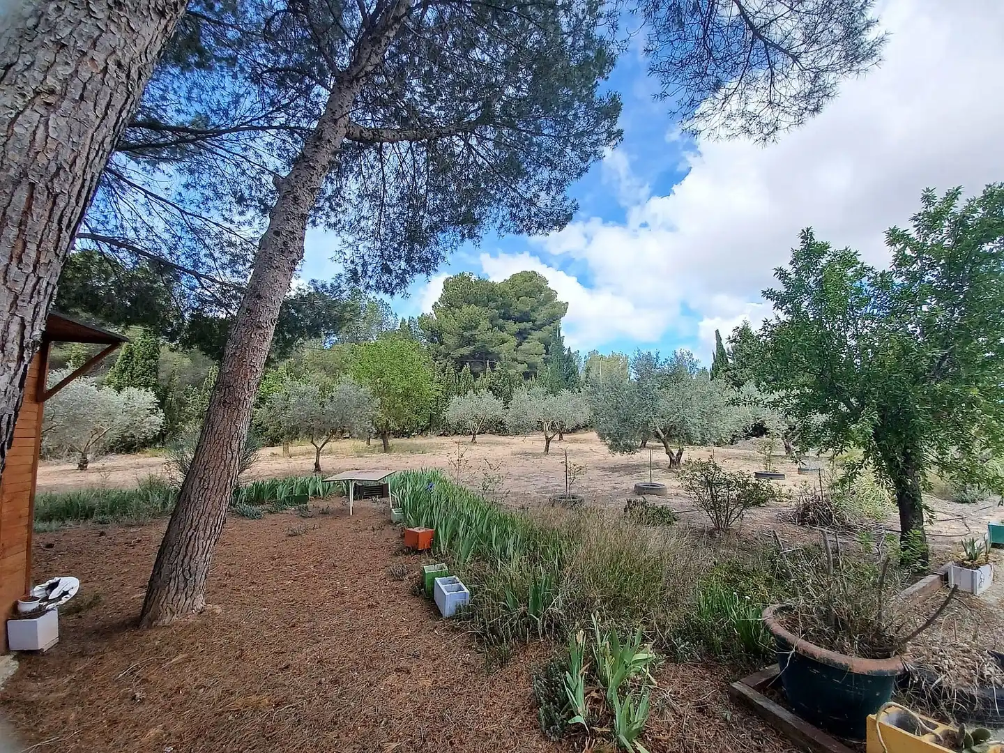 Villa à vendre à Sax, imagen 23