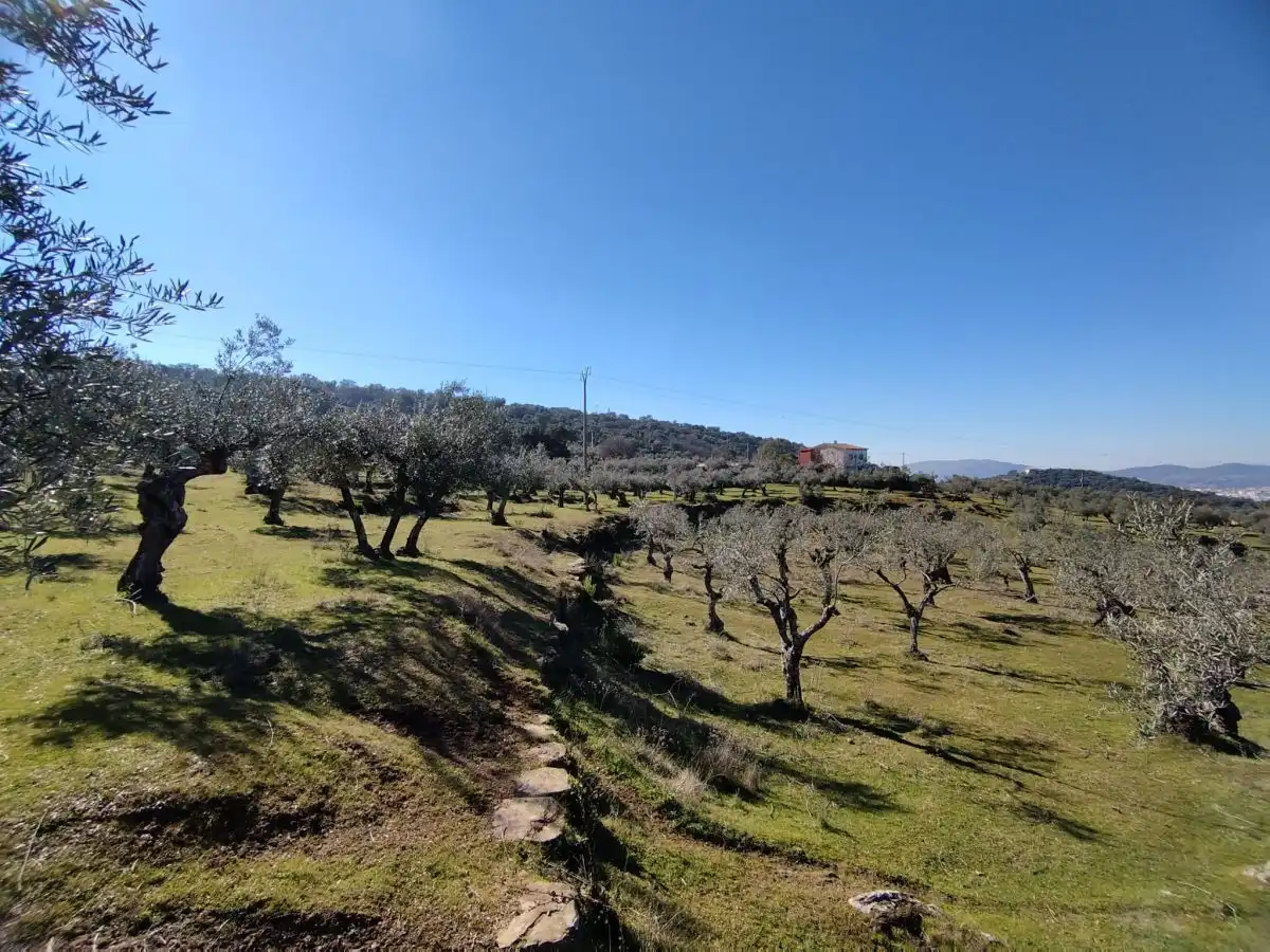 Finca rústica en venta en Plasencia con Terraza