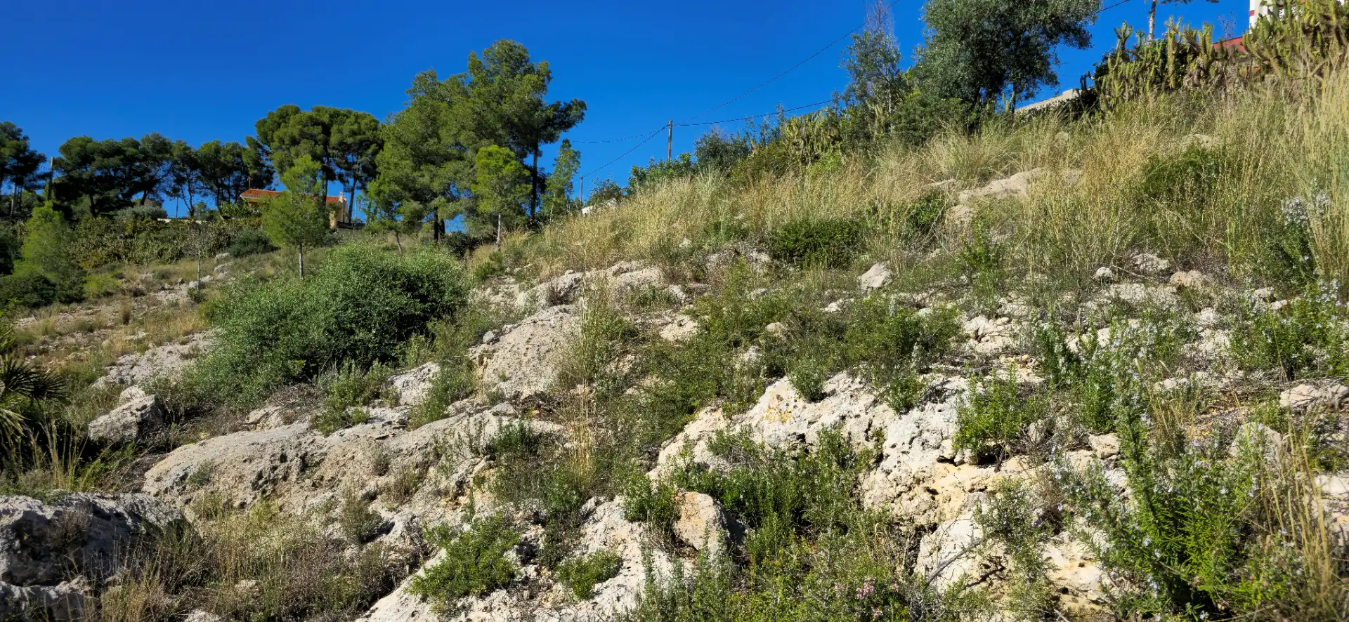 Wohnbaugrundstück zum Verkauf in Calle C/2 Lloma Molina 31, imagen 28