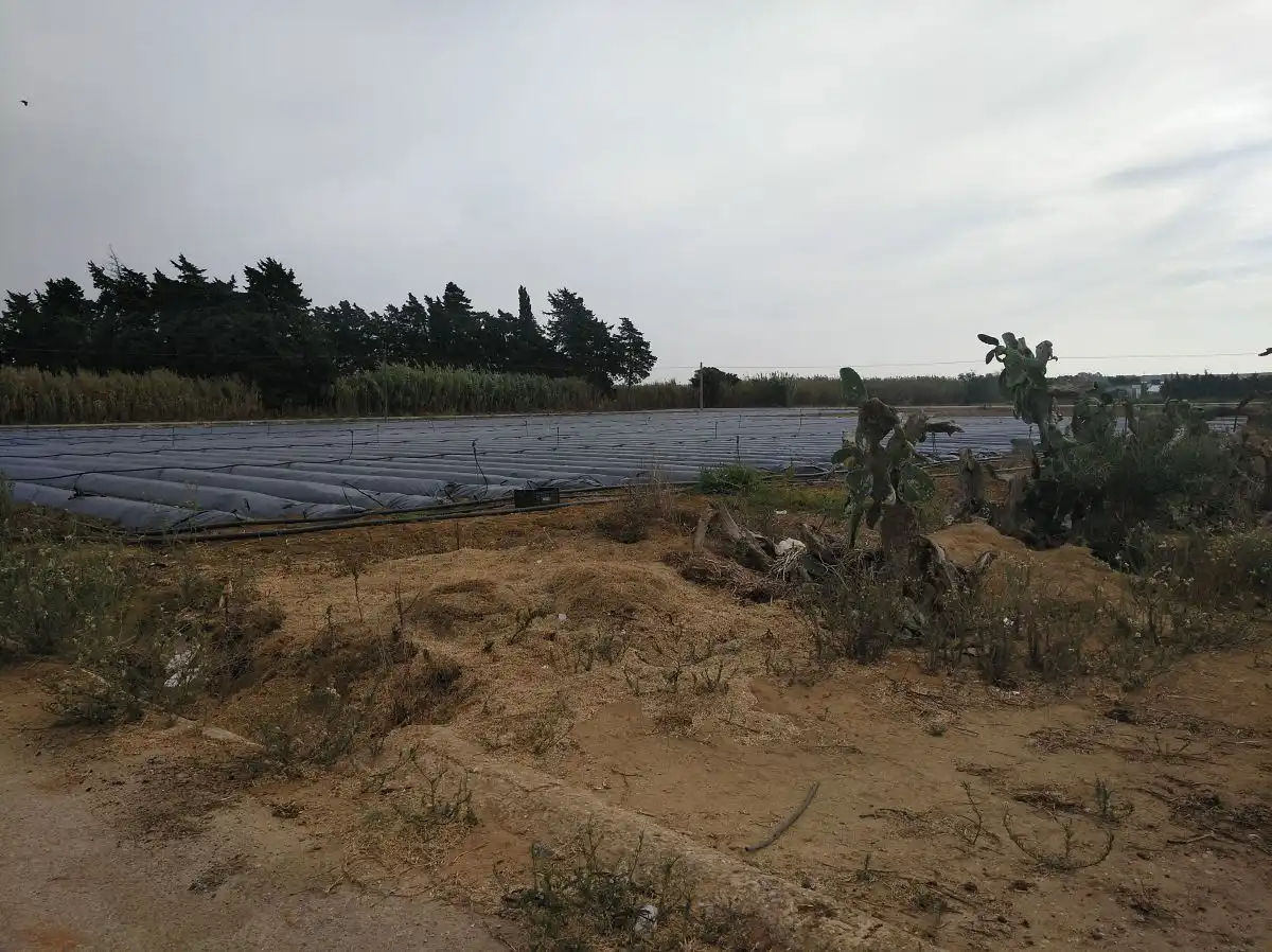 Casa rústica en venda a Barrio Nuevo, imagen 5