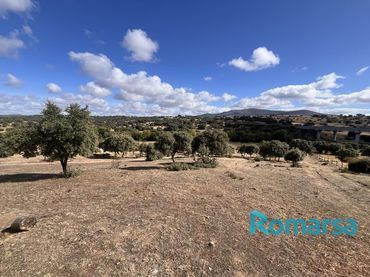 Terreno rústico en venta en REVILLA