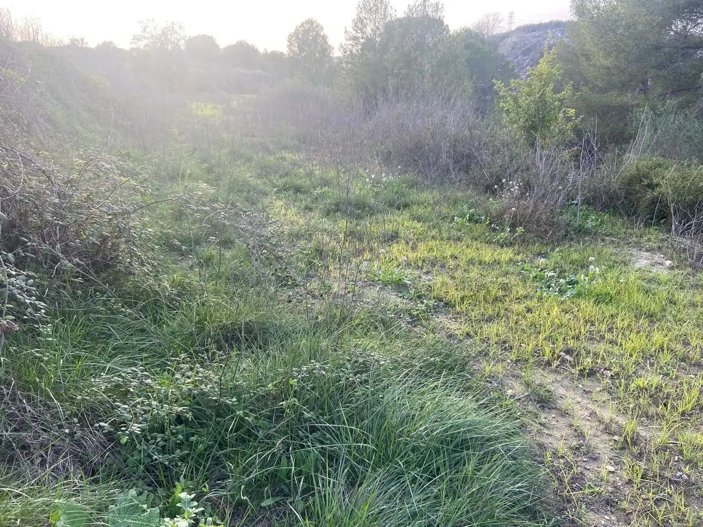 Residencial en venda en Arjona