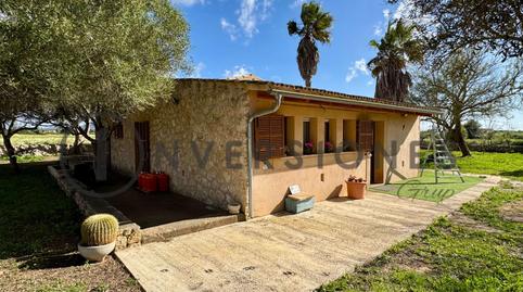 Foto 5 de Finca rústica en venda a  Son Munda, Felanitx Poble, Felanitx