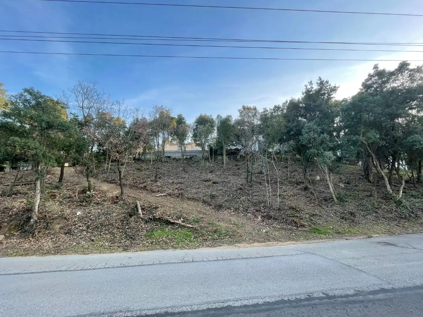 Terreny residencial en venda a Pi ric 205, imagen 6