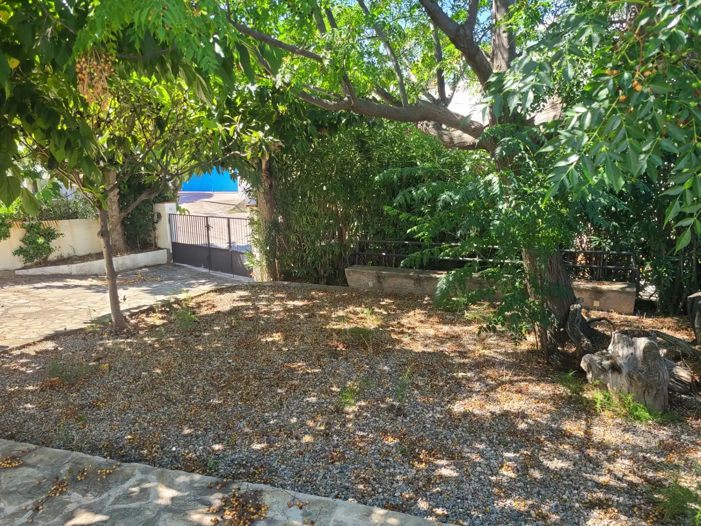 Jardí de Casa o xalet en venda en Llançà amb Calefacció, Terrassa i Traster