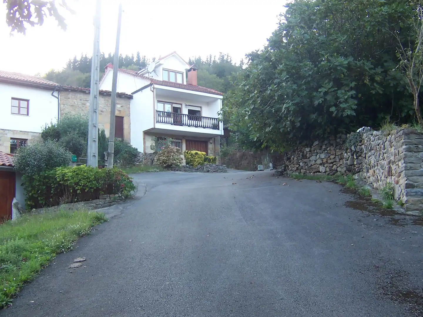 Vista exterior de Casa o xalet en venda en Luena  amb Jardí privat, Terrassa i Moblat