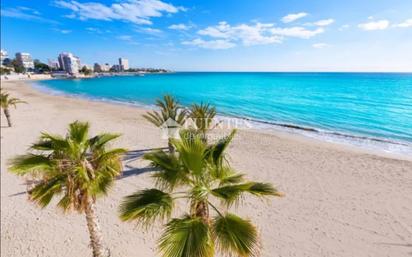 Vista exterior de Estudi en venda en Alicante / Alacant amb Aire condicionat, Jardí privat i Terrassa