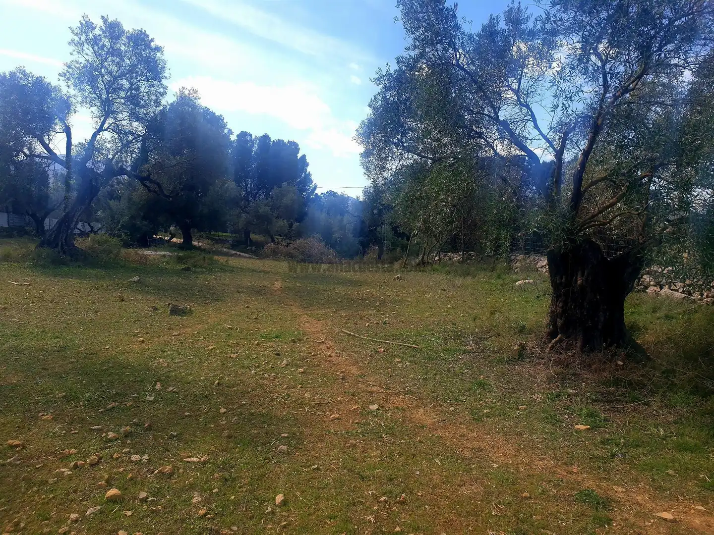 Terrenys i solars en venda a La Planilla, Cra. A-6300, imagen 4