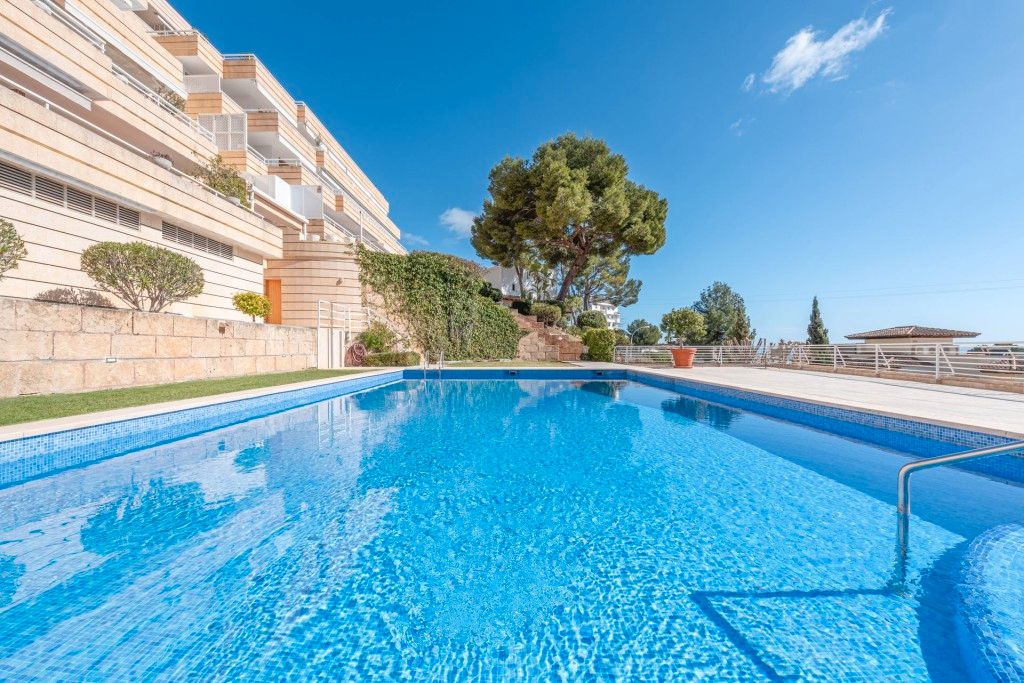 Piscina de Àtic en venda en Calvià amb Calefacció, Jardí privat i Terrassa