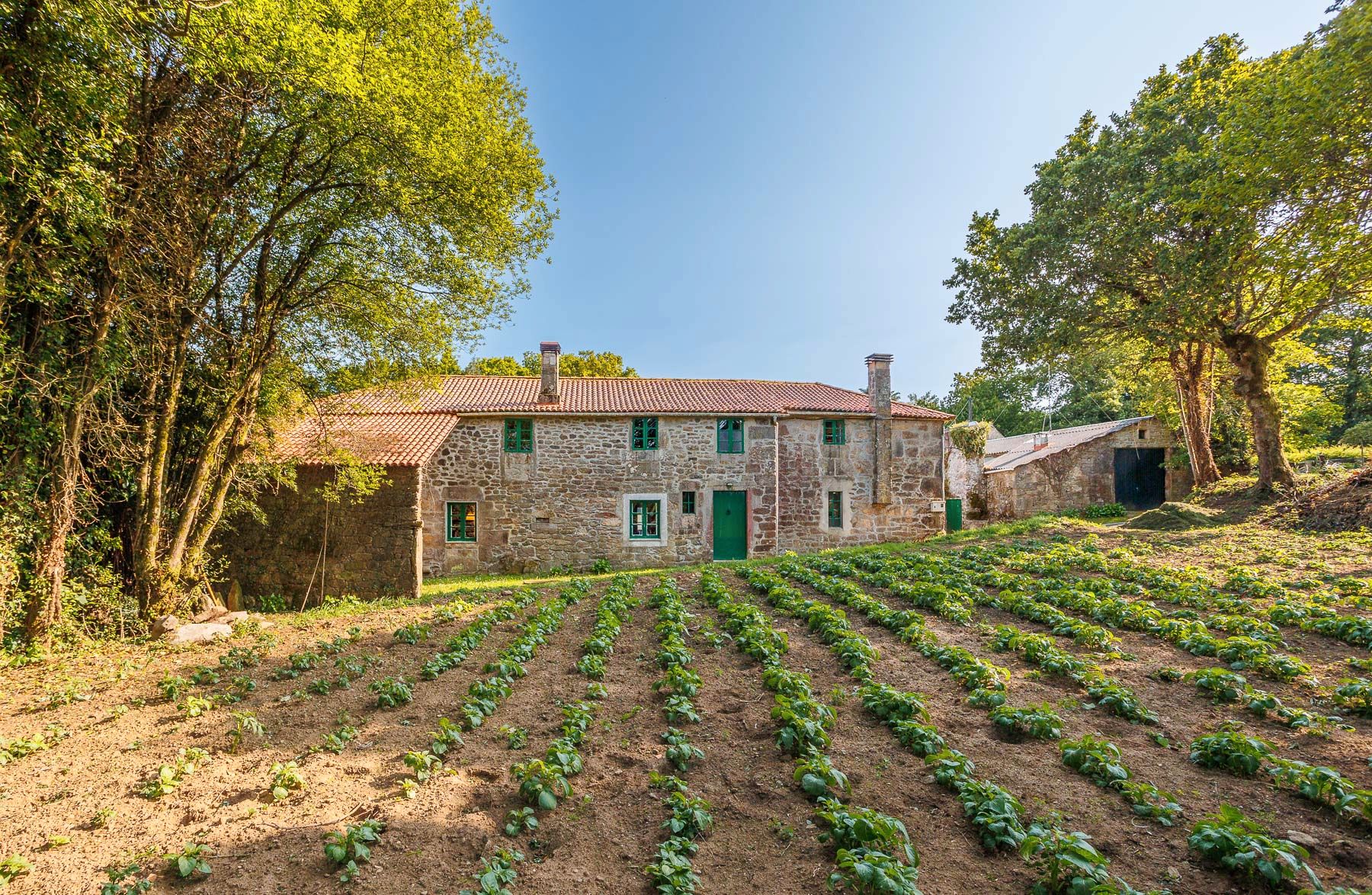 Vista exterior de Finca rústica en venta en Curtis con Amueblado