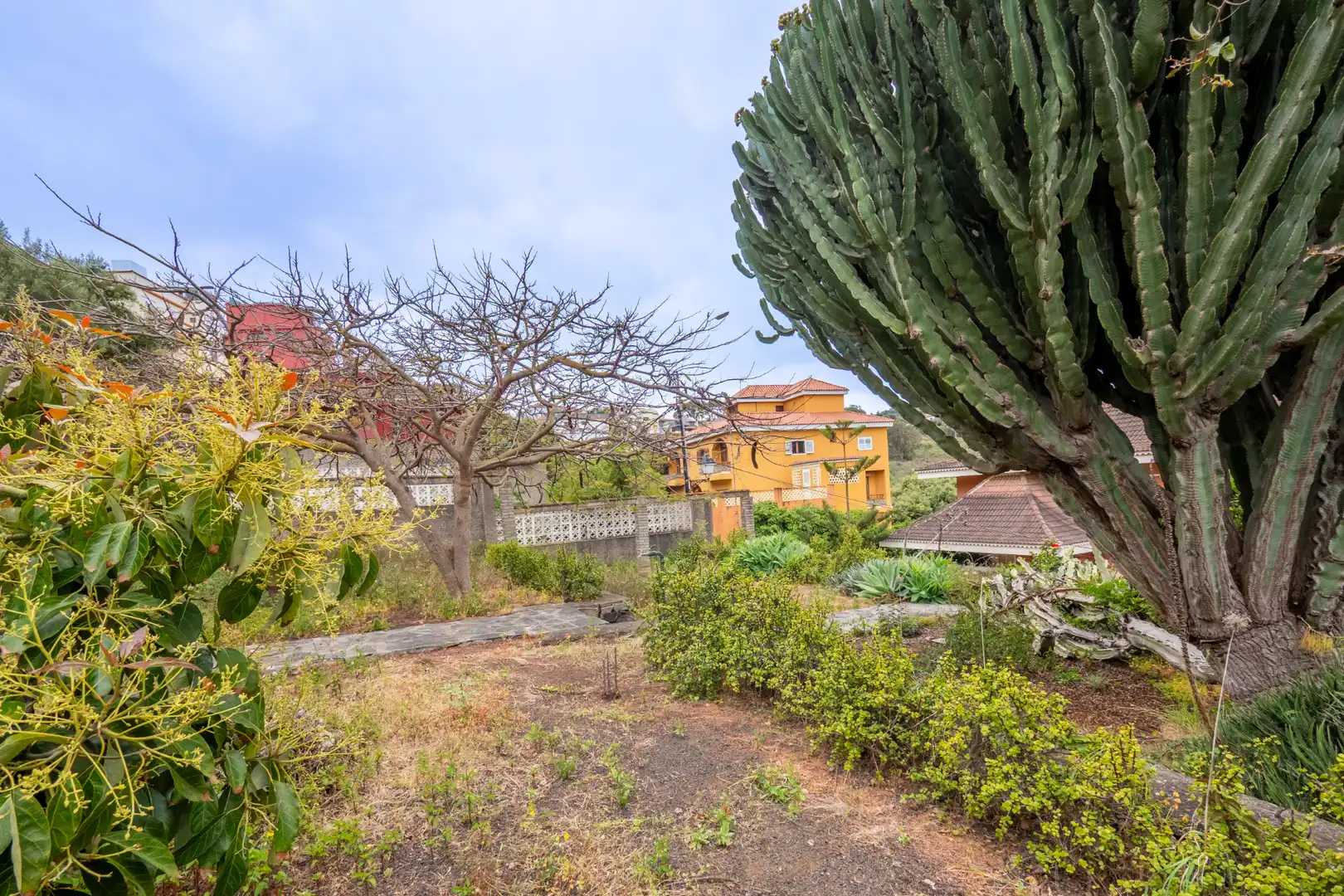 Jardín de Casa o chalet en venta en Santa Brígida con Jardín privado, Terraza y Trastero
