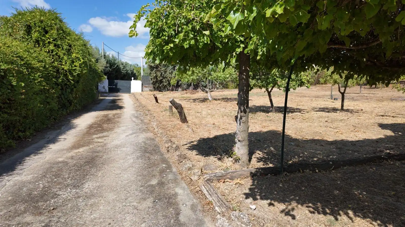 Casa o xalet en venda en Casar de Cáceres amb Aire condicionat, Jardí privat i Traster
