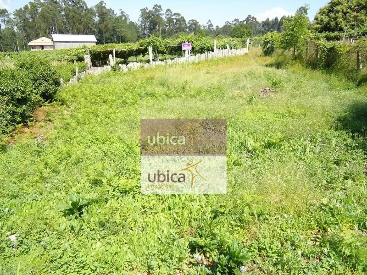 Wohnbaugrundstück zum Verkauf in Salceda de Caselas, imagen 2
