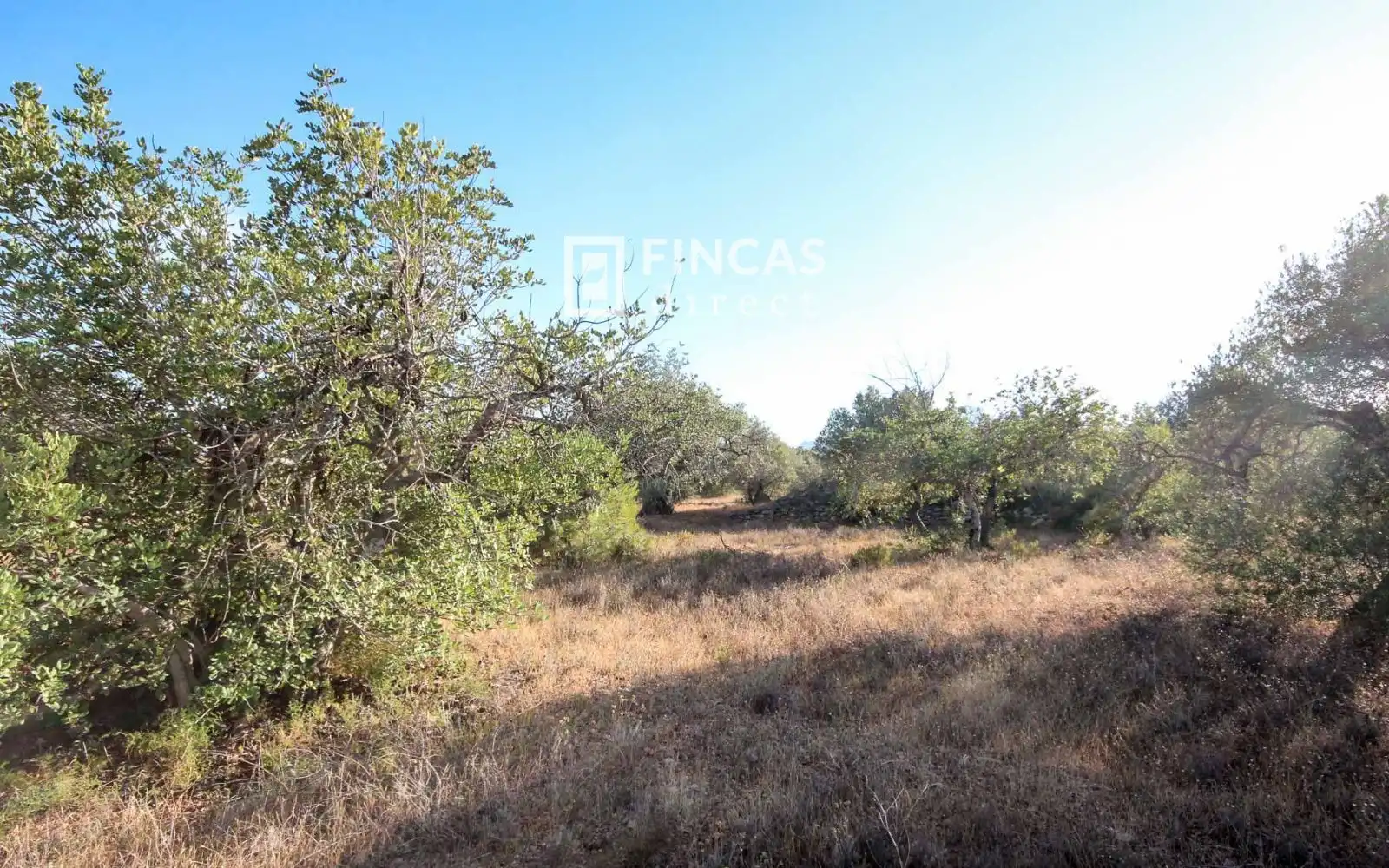 Country homes for sale in Xerta