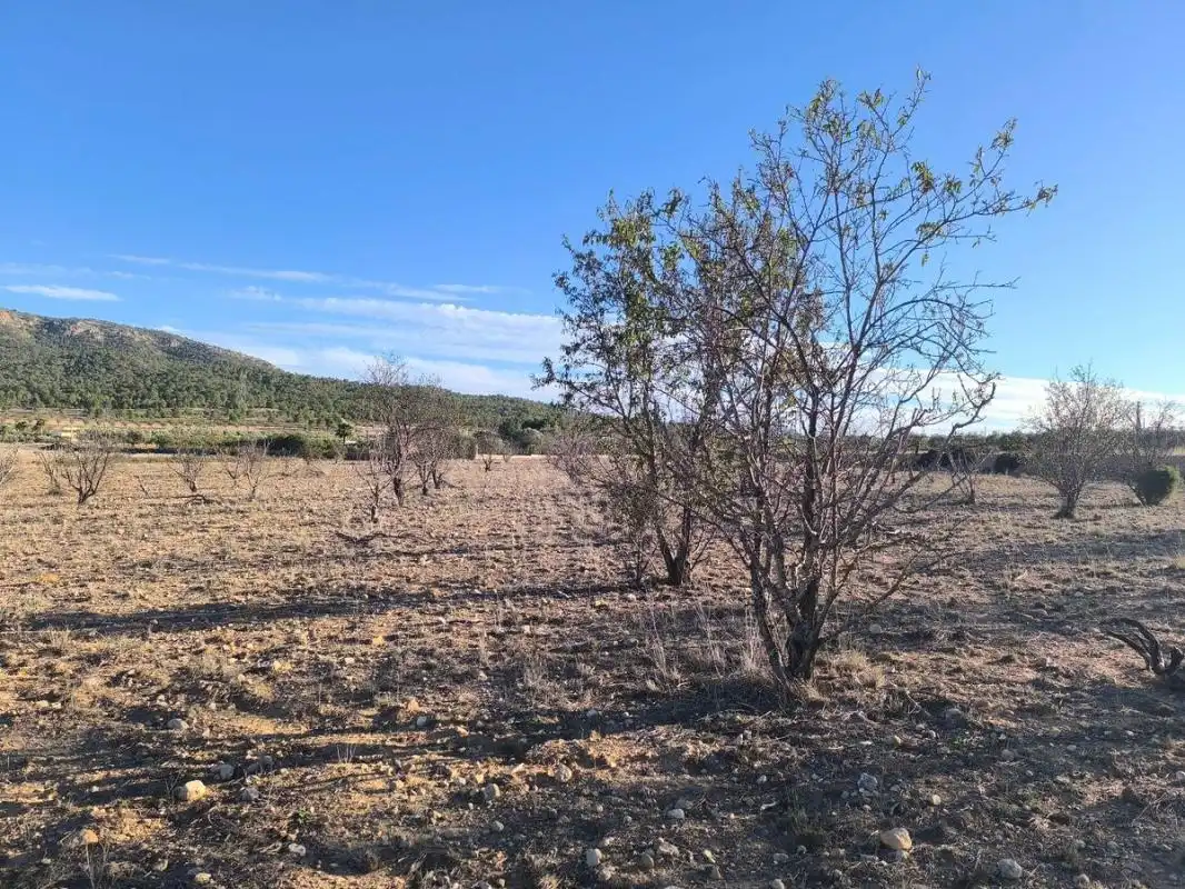 Rustikales Grundstück zum Verkauf in Polígono 12 Parcela 66, imagen 5