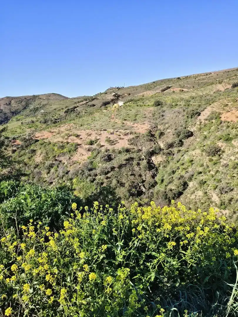 Finca rústica en venta en Albondón con Jardín privado, Trastero y Amueblado