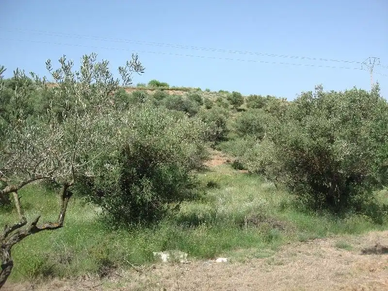 Terreny rústic en venda a Villamediana de Iregua, imagen 4