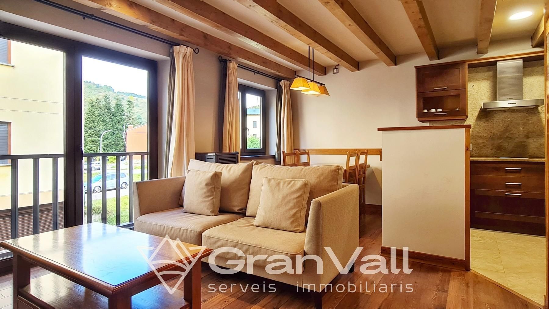 Sala d'estar de Apartament en venda en Alp amb Calefacció, Jardí privat i Traster