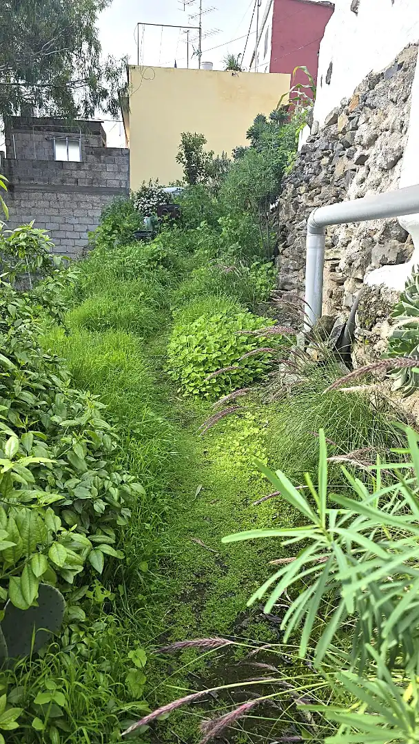 Jardín de Residencial en venta en Santa Brígida