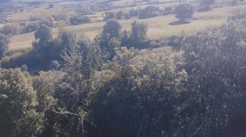 TERRENO URBANIZABLE DE CASI 6 HECTAREAS, immagine 2