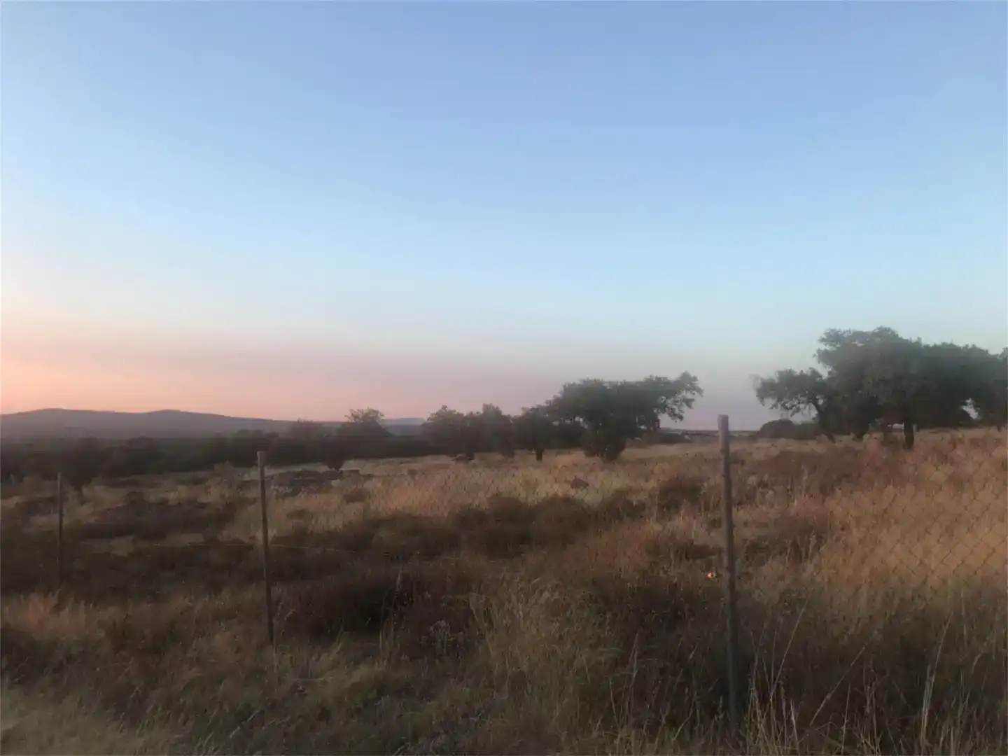 Land for sale in Valverde de Mérida