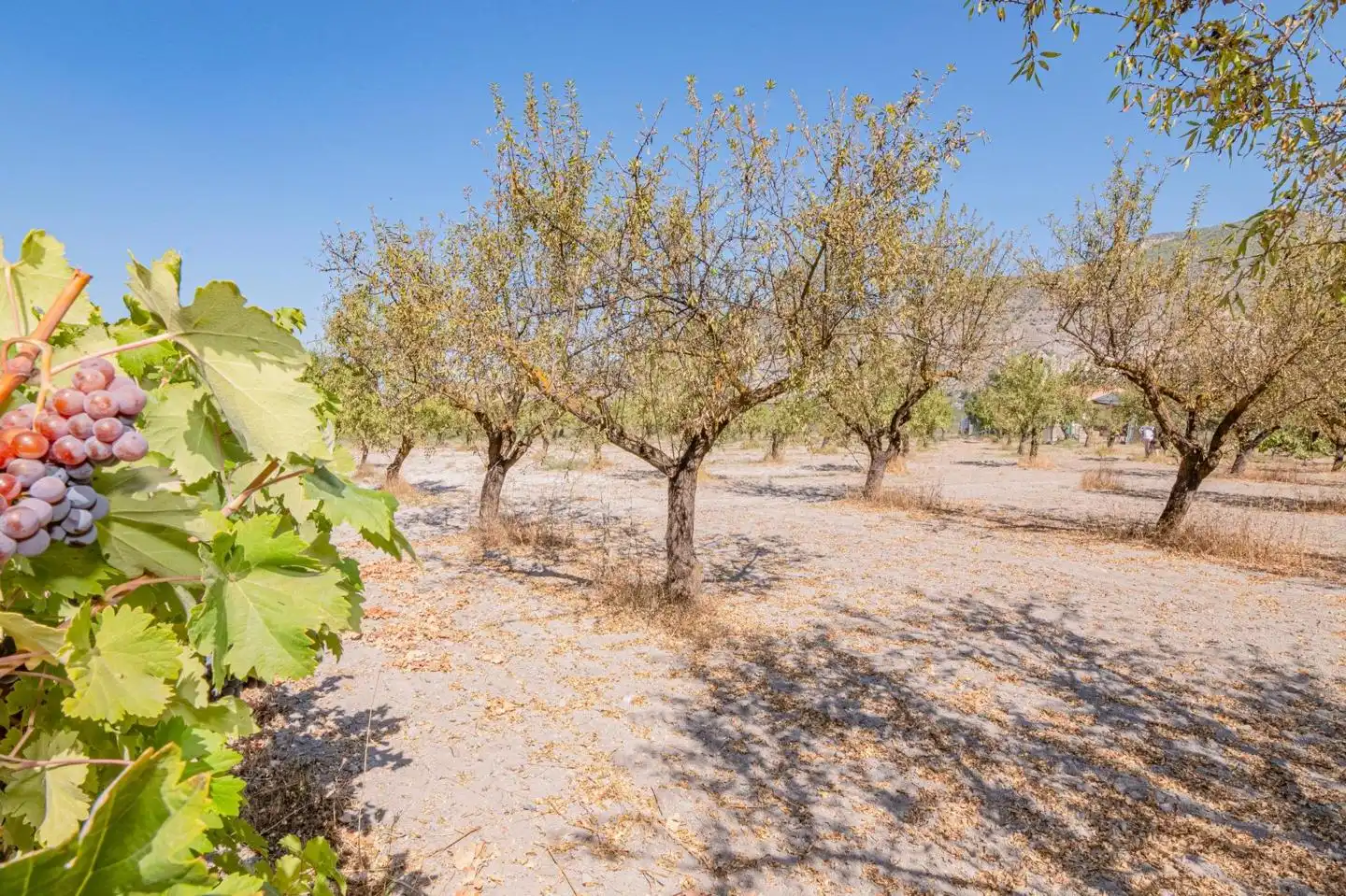 Country house for sale in Calle de Rocio Durcal, imagen 45