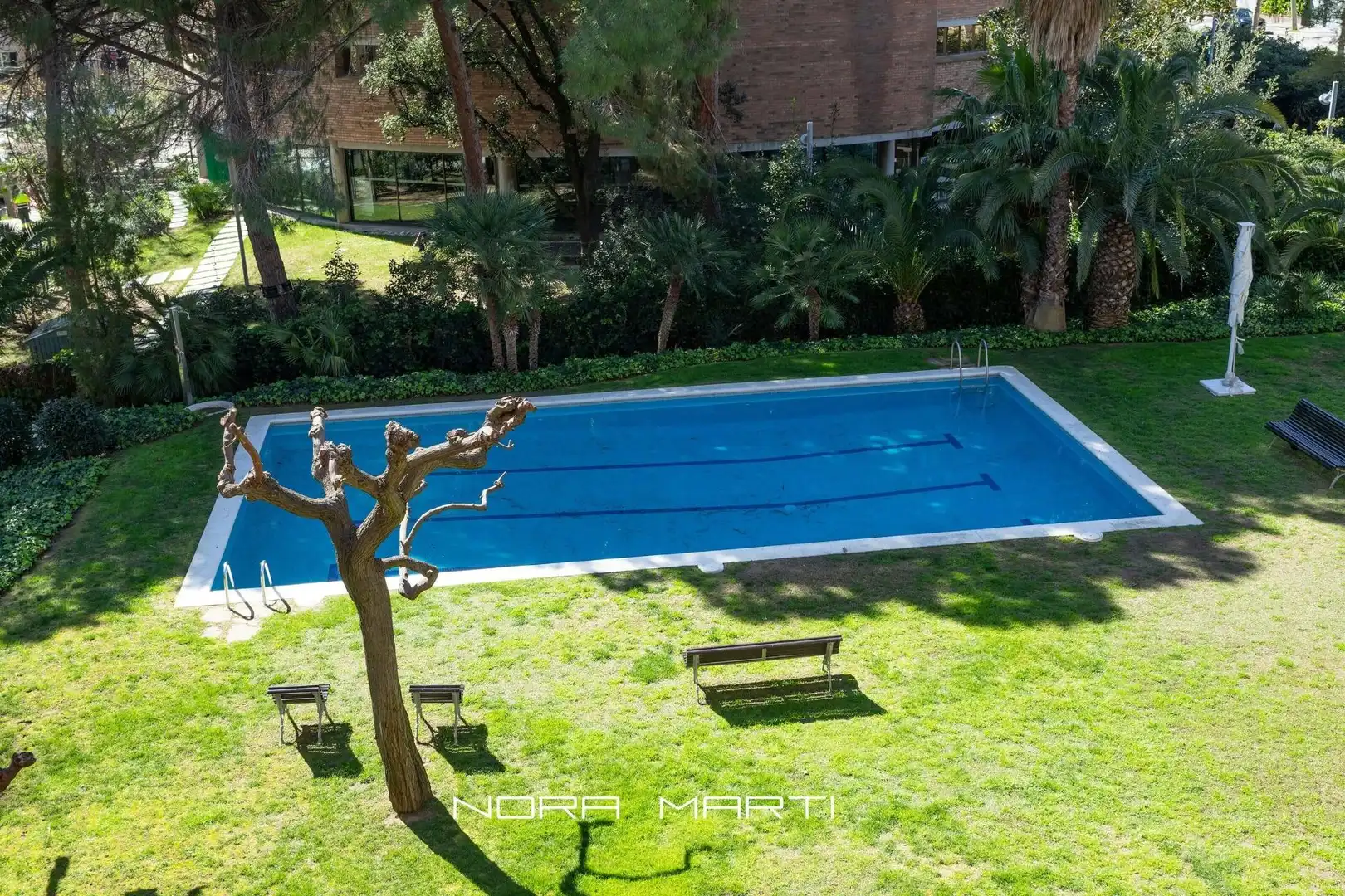Swimming pool of Flat for rent in Barcelona