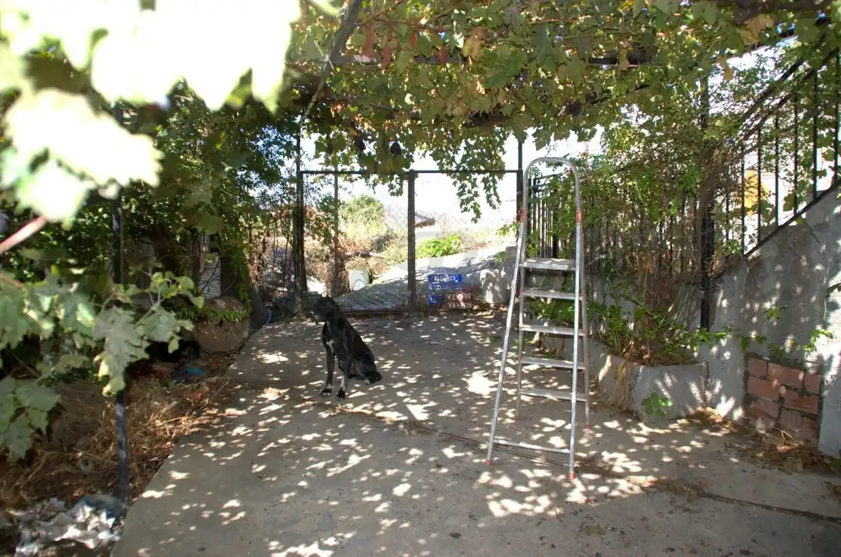 Maison avec terrasse à vendre à Cómpeta, imagen 20