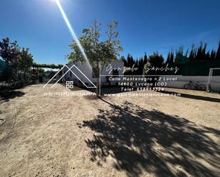 Vista exterior de Casa o xalet en venda en Lucena