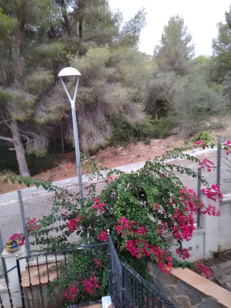 Maison avec terrasse à vendre à Mas Mel, imagen 75