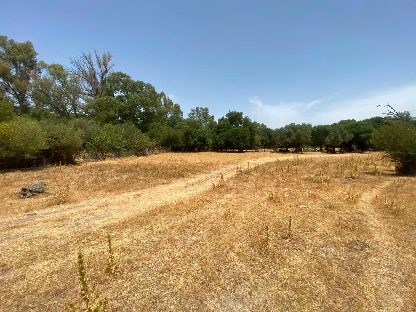 Terreni e lotti in vendita a Alcalá de los Gazules, imagen 64