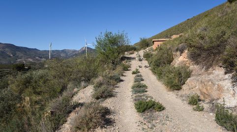 VENTA DE BONITA FINCA DE OLIVOS EN LANJARÓN GRANADA, imatge 3
