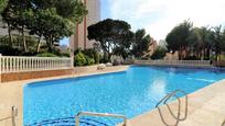 Swimming pool of Study for sale in Benidorm  with Air Conditioner and Terrace