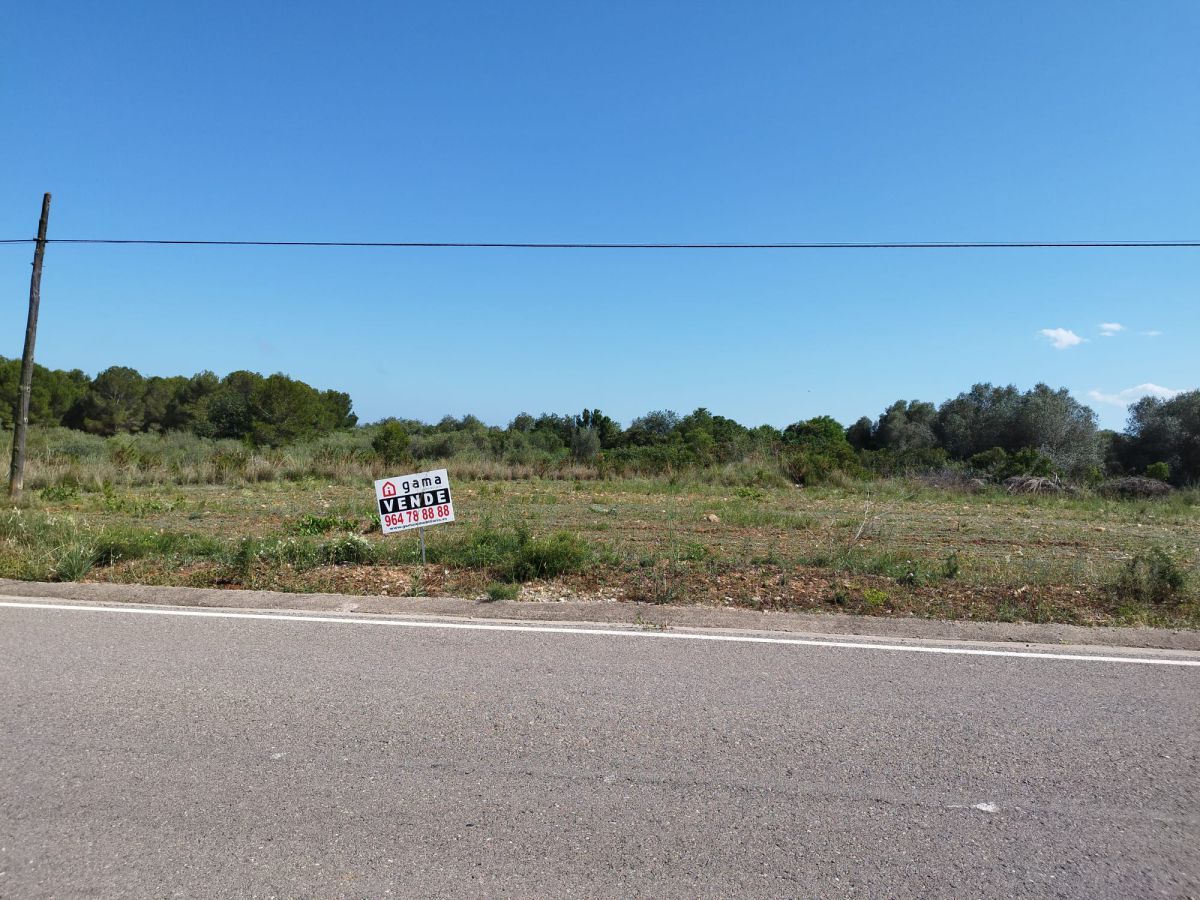 Finca rústica en venta en Alcalà de Xivert