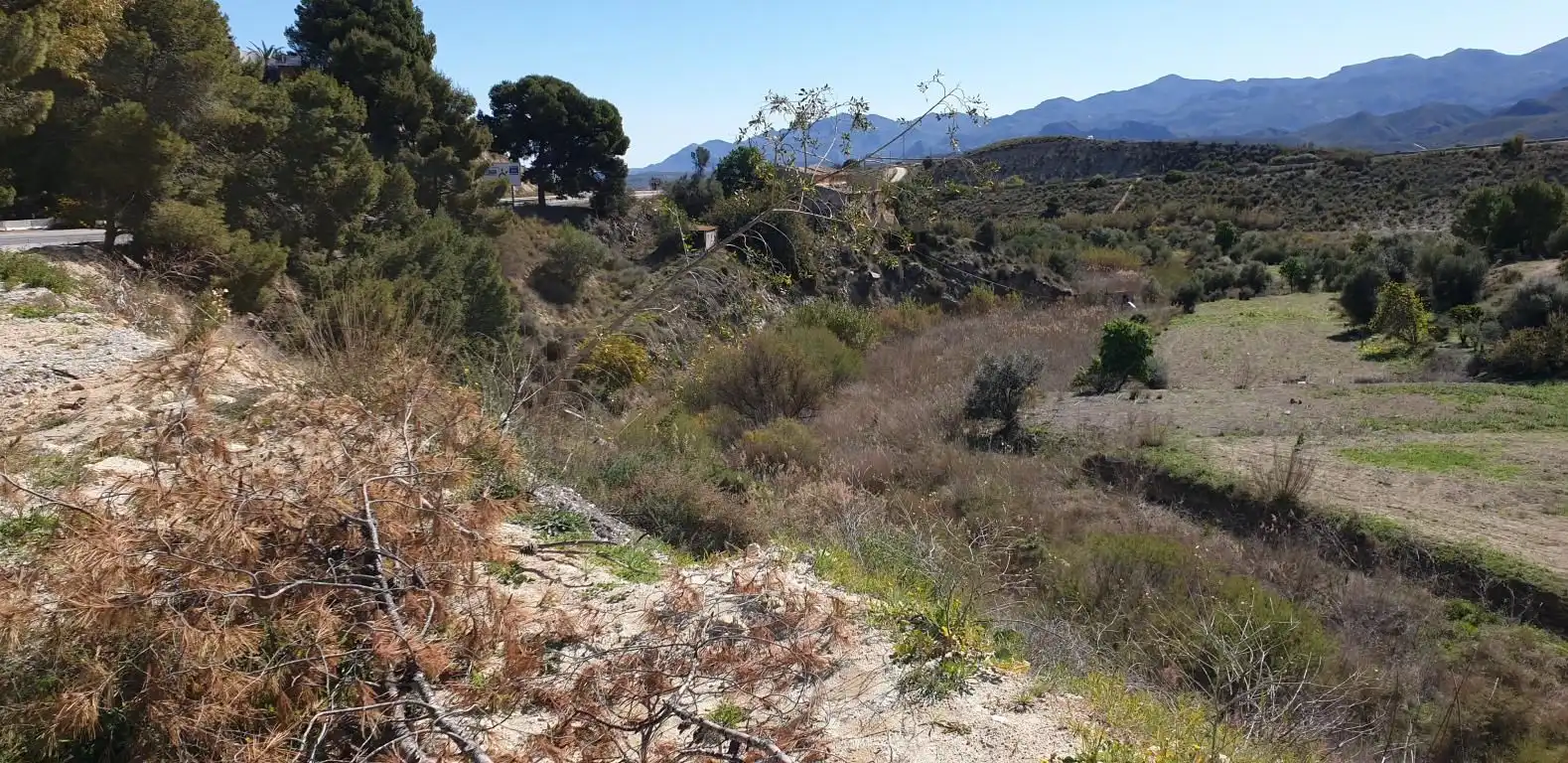 Terreno residencial en venta en Los Gallardos, imagen 13