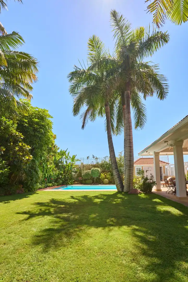 Piscina de Casa o chalet en venta en Santa Úrsula con Aire acondicionado, Calefacción y Jardín privado