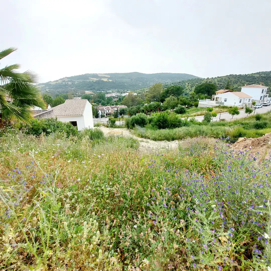 Terreno residenziale in vendita a Avenida del Pinsapar 42, imagen 4