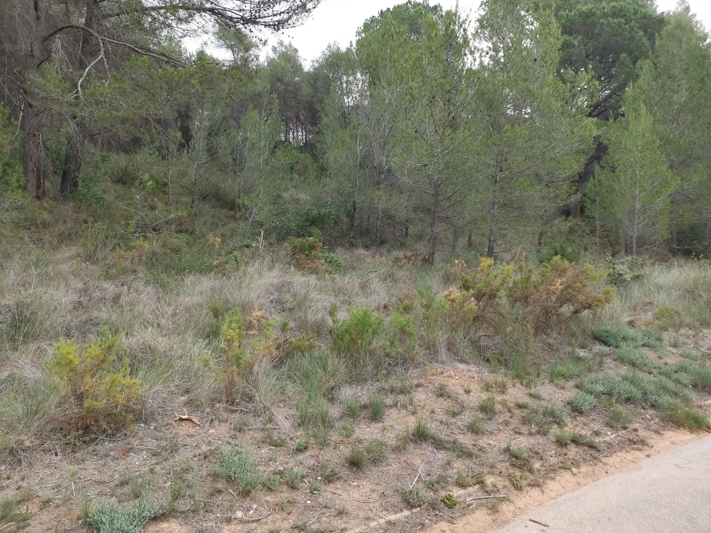 Residencial en venda en El Montmell