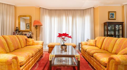 Casa de 8 habitaciones y 4 baños en el centro de El Ejido, immagine 4