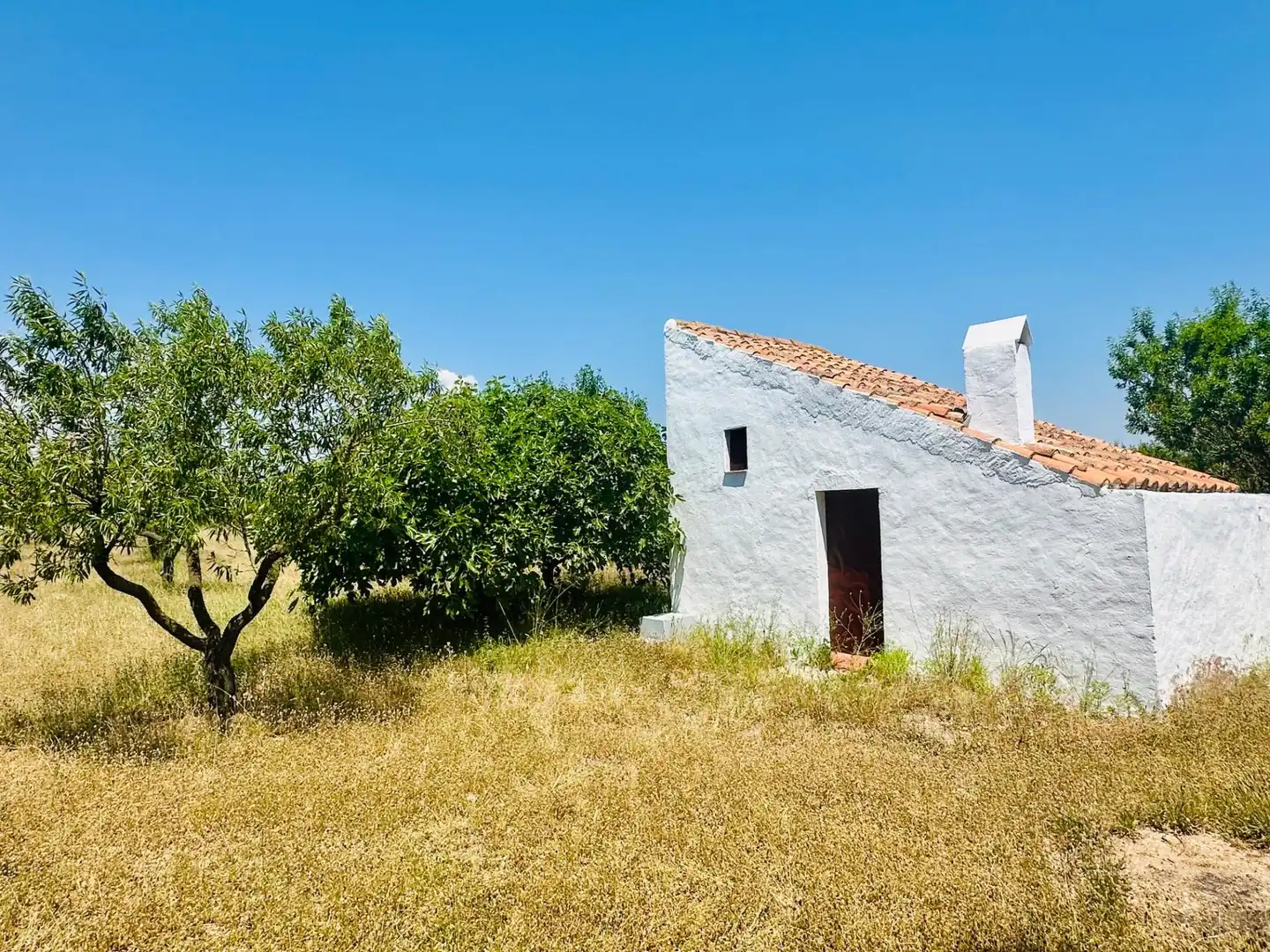 Casa o xalet en venda en Godall