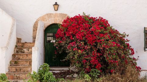 Foto 2 de Finca rústica en venda a Cami de Son Saura, Cala d'en Bosch - Serpentona, Ciutadella de Menorca