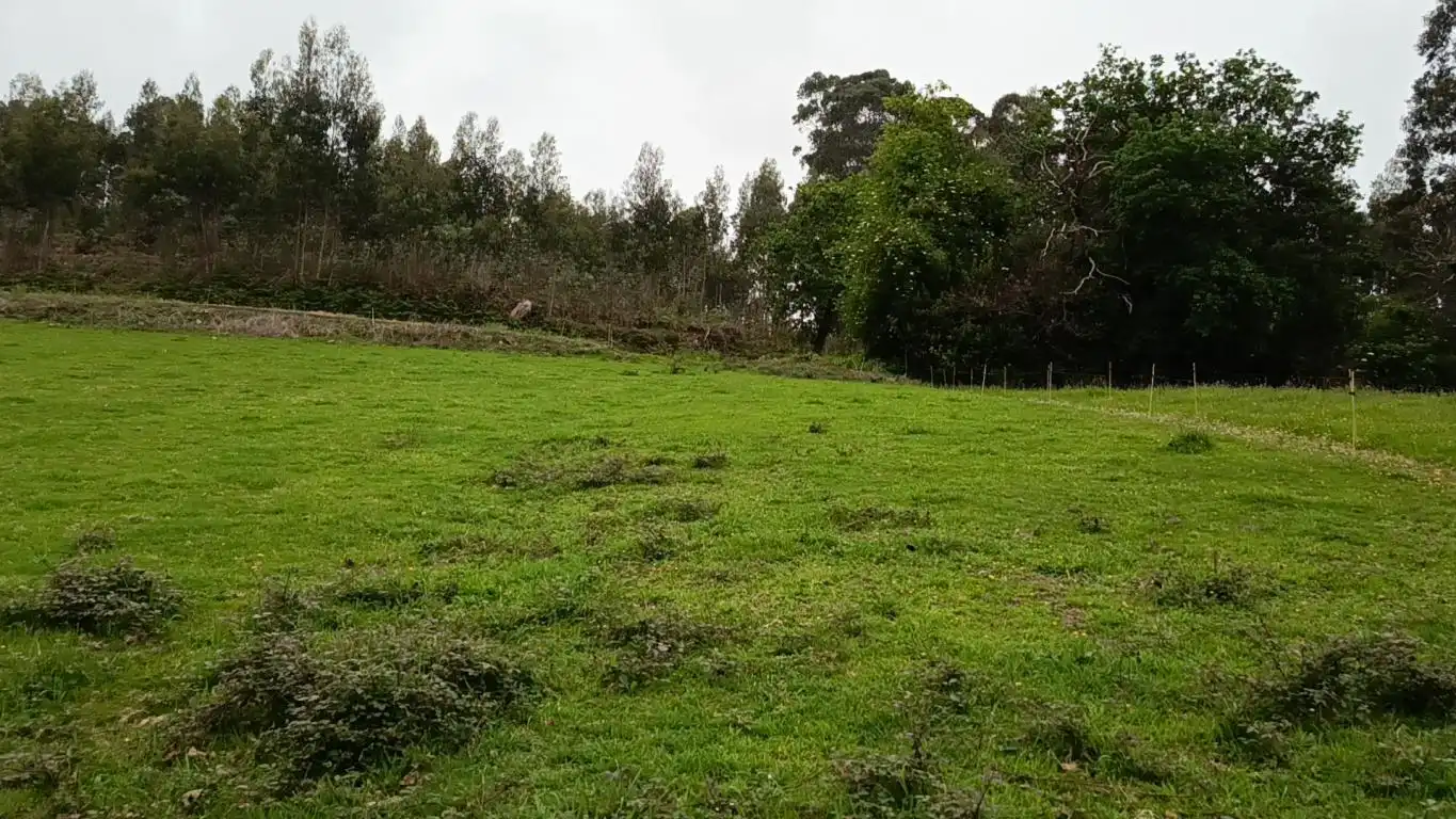Lands and plots for sale in Lugar Laguna, imagen 10