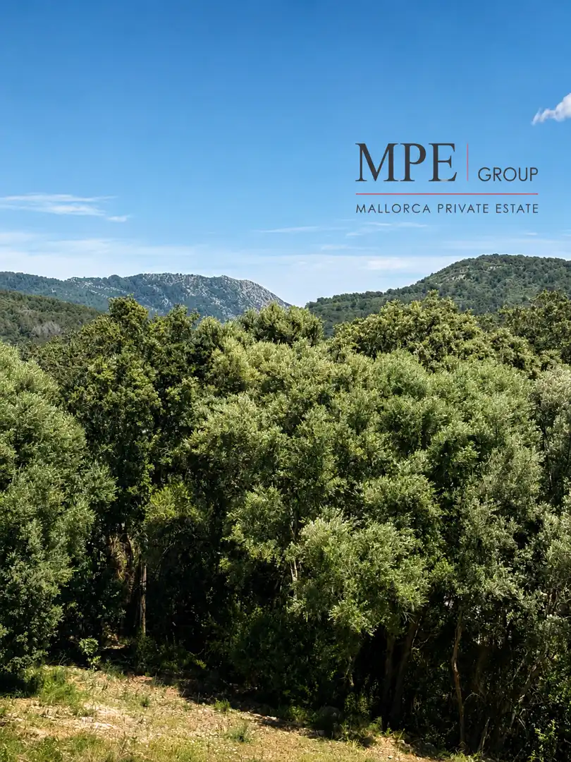 Apartamento en venta en Campanet con Aire acondicionado, Calefacción y Terraza