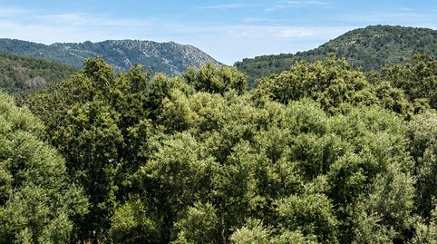 Foto 5 de Apartament en venda a Carrer Antoni Maria Alcover, Campanet, Illes Balears