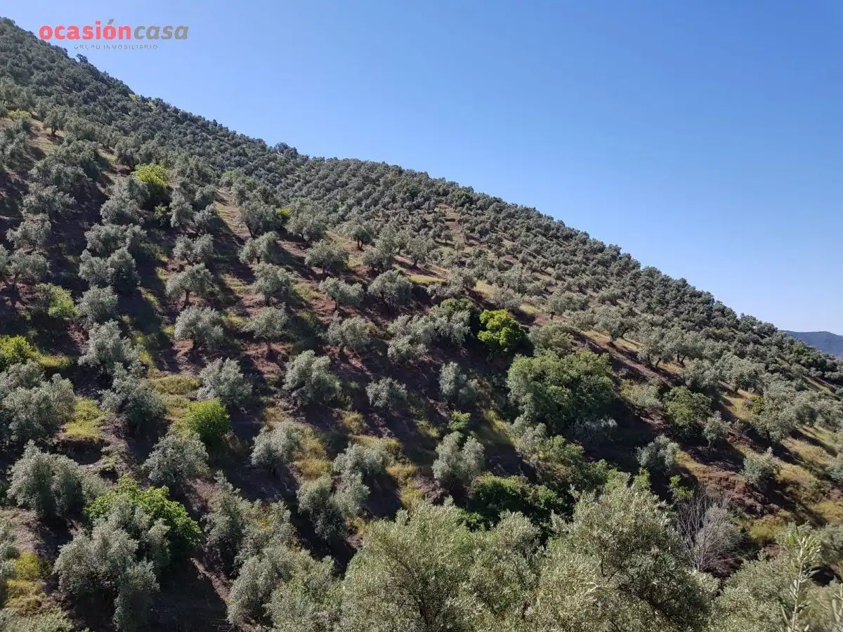 Finca rústica en venta en Villanueva de Córdoba con Jardín privado, Trastero y Amueblado