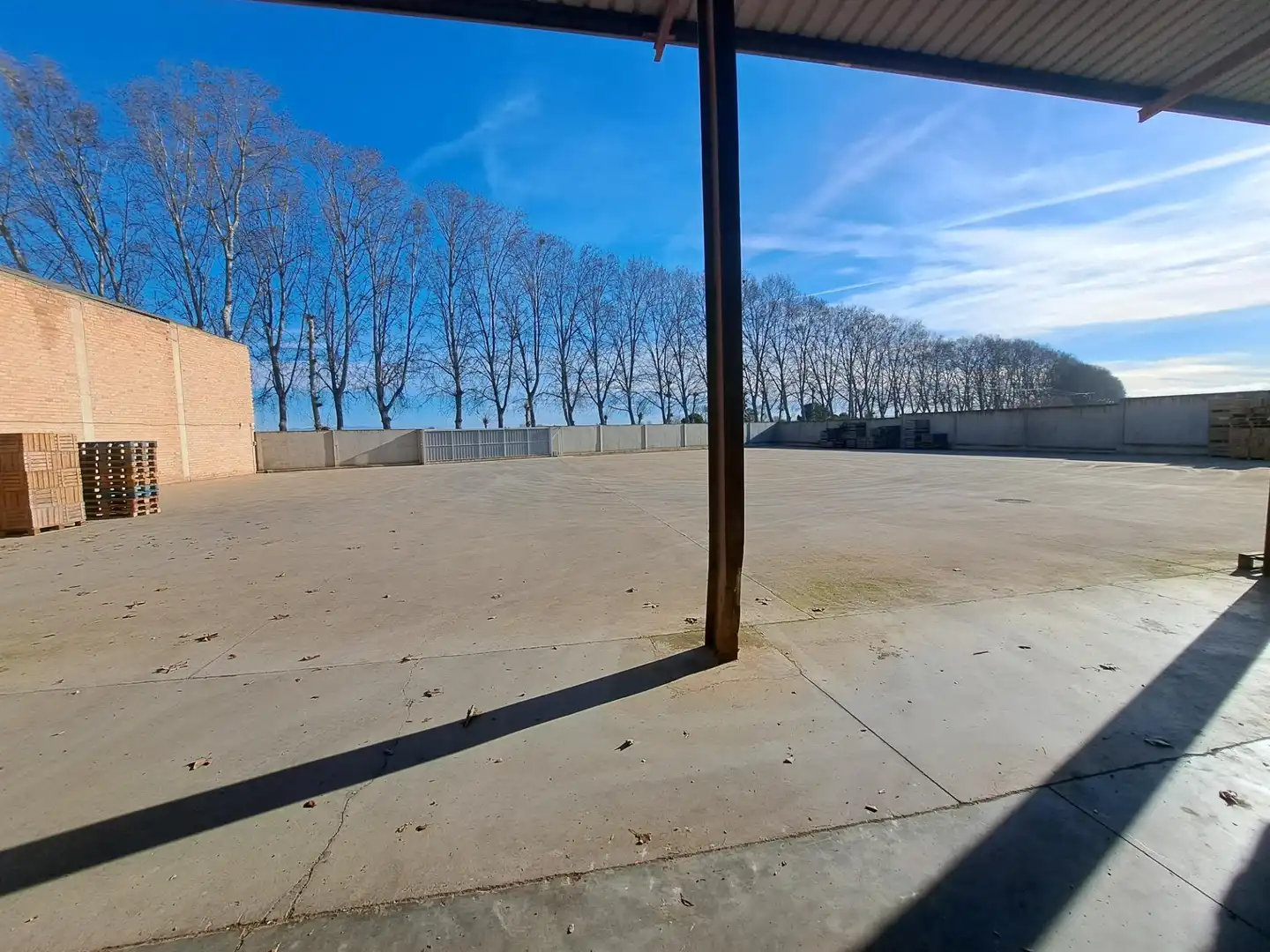 Terrace of Industrial buildings for sale in Mollerussa