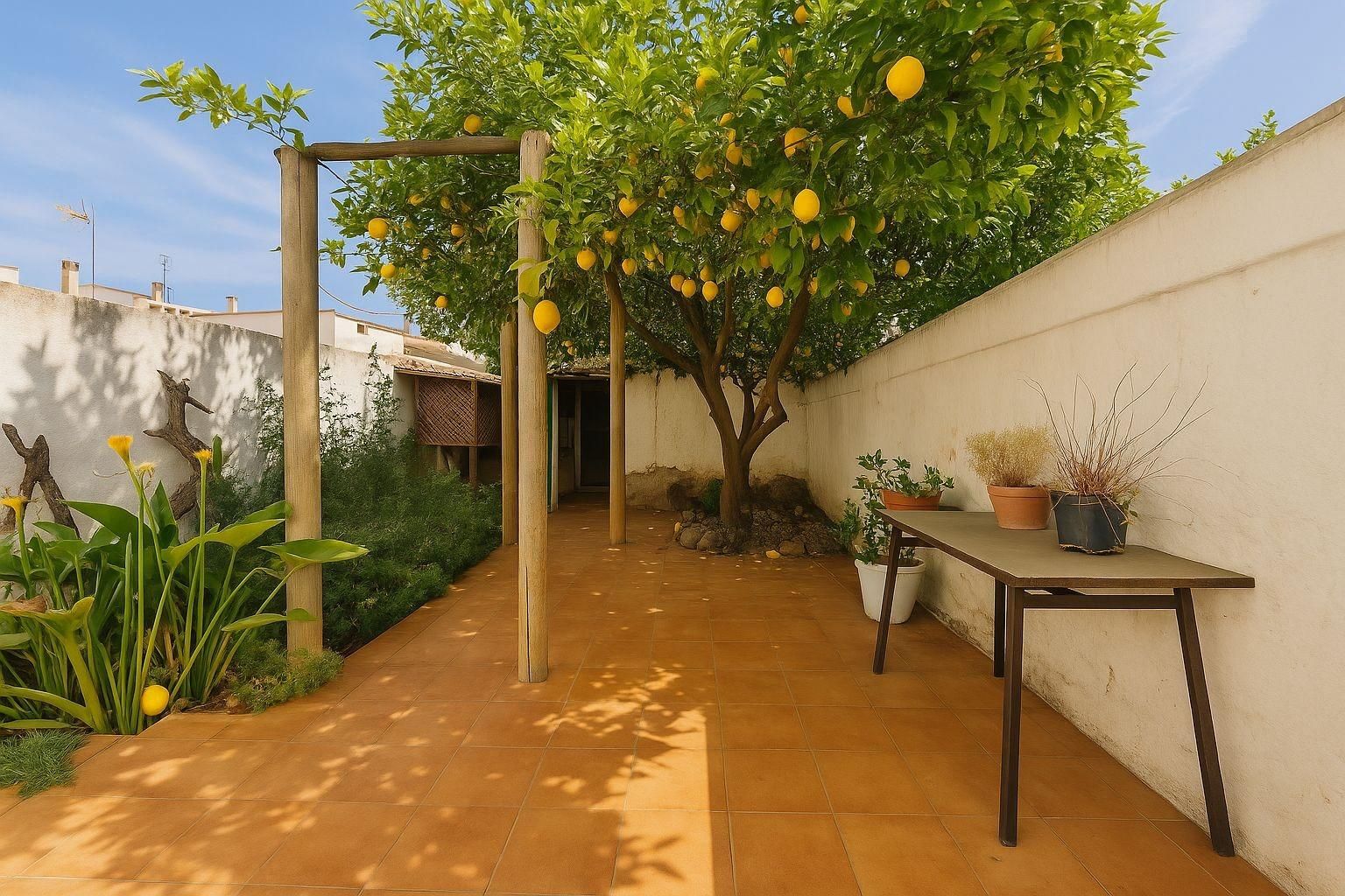 Terrace of Planta baja for sale in  Palma de Mallorca  with Terrace
