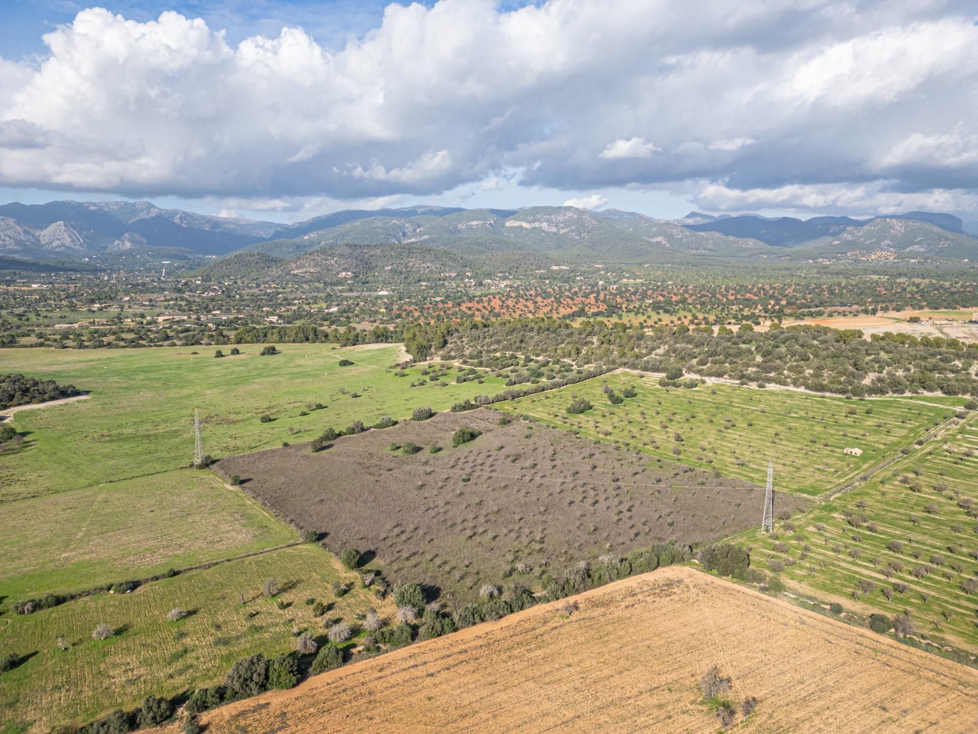 Land for sale in  Polígono 7 Parcela 204 VINYA DES CAULLS. 07141 MA, Marratxinet